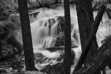 Black/White Image Waterfall and Trees